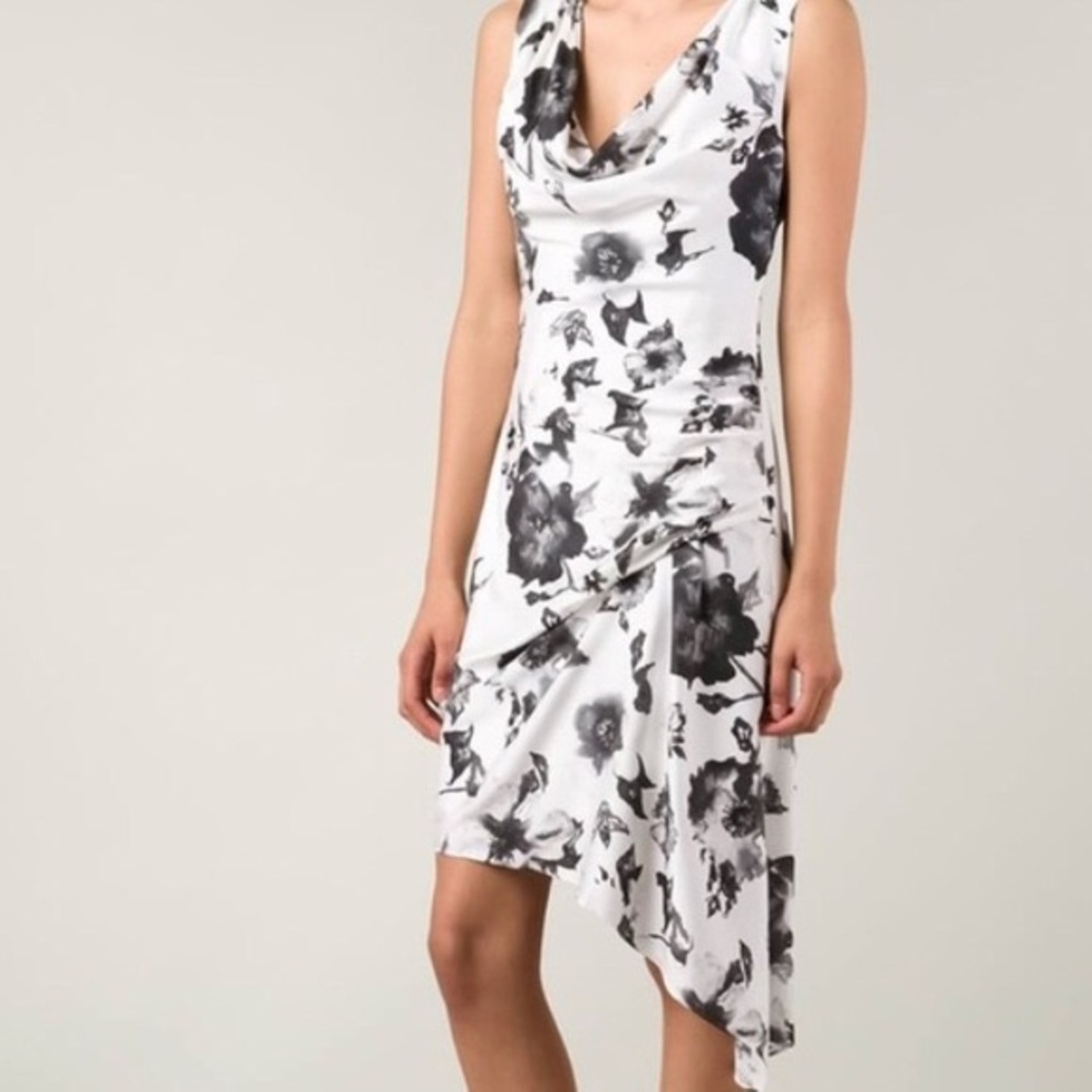 Haute hippie swan silk dress